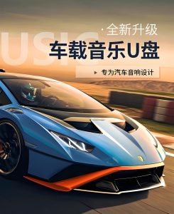 【2025爆款车载音乐合集】开车必听！爽到停不下来！【41GB】