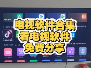 【TV软件】咸鱼热卖TV软件全合集(安装即用，无付费，更至最新版)【1.5GB】