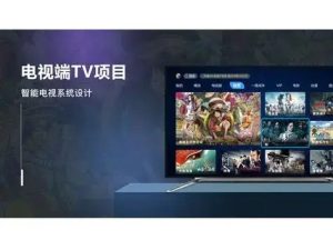 海鲜市场68买的智能电视TV应用全套工具包，满足你的观影需求【4.45GB】