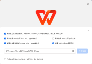 WPS Office 2023专业增强版 永久激活版 587M