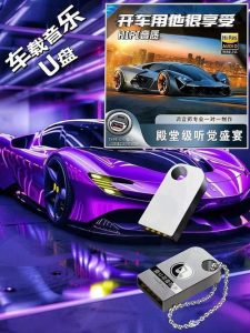 自购“柏林之声”车载U盘，无损高音质合集【Mp3】接近演唱会级听感【41.1GB】