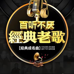 盘点网易云音乐2025被收藏最多的神级歌单 【千万级收藏】【MP3】