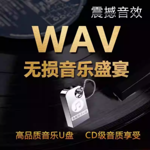 2026车载试音碟HiFi音质金曲合集 10.8GB