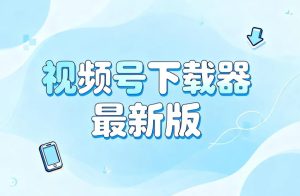 2026最新版视频号下载器，一键下载直播回放+短视频等内容【6.6MB】